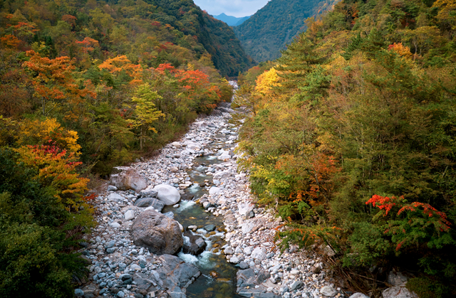 走不出这画了，我已被平武的彩林迷倒！