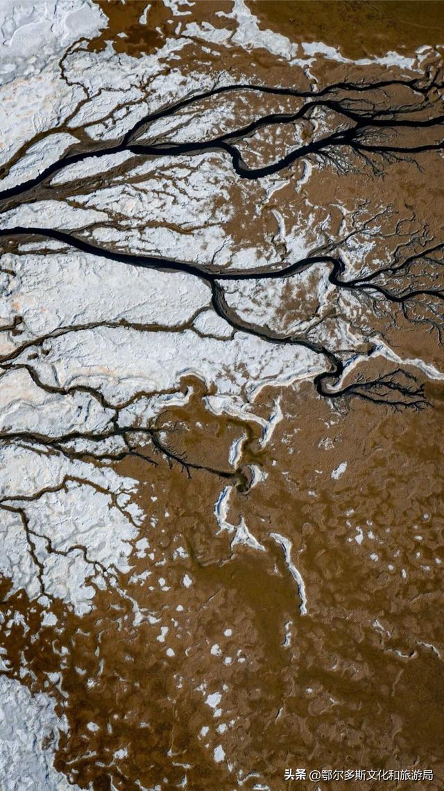 大地的笔触：在杭锦旗遇见哈日芒乃淖的“生命之树”