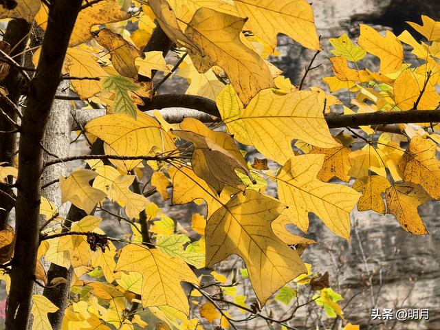 龙洞胜境尤奇崛