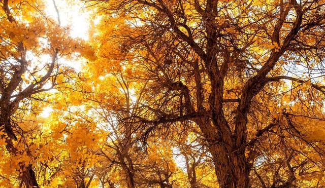 甘肃被隐藏的宝藏小城，几乎浓缩了大西北全部美景，却少有人提起