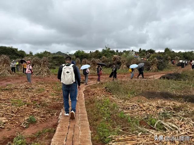 徒步石林蓑衣山、赏水上石林,遇降雨淅淅沥沥,收获特别的体验