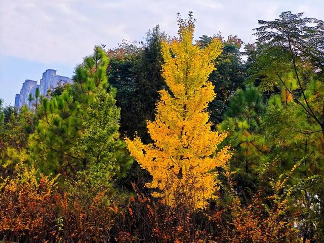 许昌人，这两天请抓紧时间出门