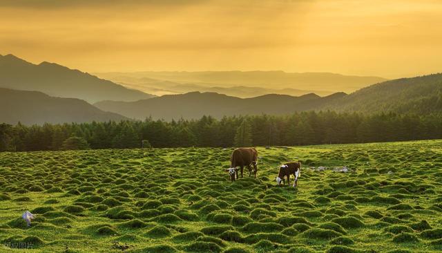 山西有什么好玩的？高清大图告诉你