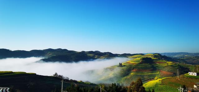 罗平马街：云上花梯铺锦绣 风景独好引客来