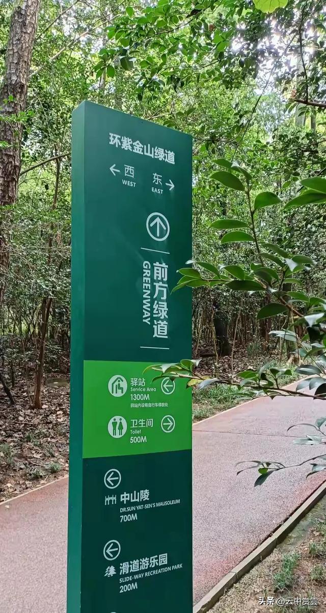 建议恢复南京″游″字自编号公交车，专项循环在钟山风景区营运