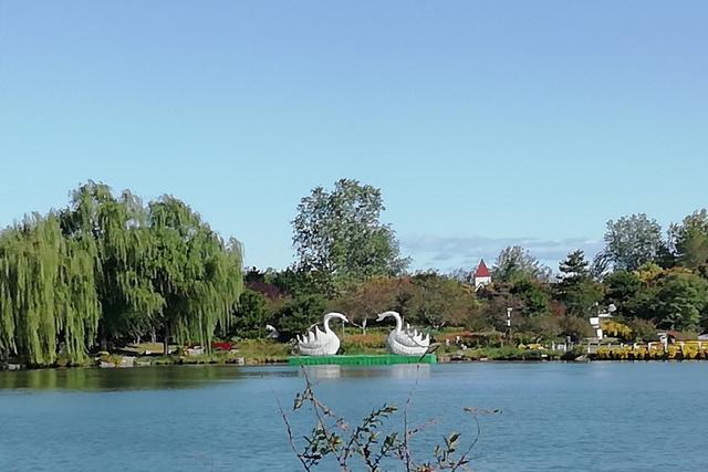 北京顺义国际鲜花港 梦幻的花海秘境