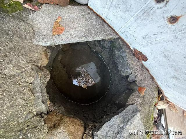 游赏过九鼎山后，我又跑到一户院里“强买”了大爷种在路边的白菜