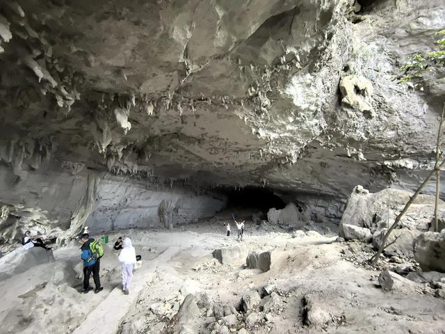 带小朋友去贵州茂兰，连环探洞加漏斗原始森林徒步二日游全攻略！
