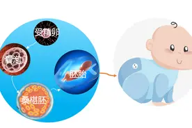 “健康从细胞开始”系列1：人体细胞概述图片