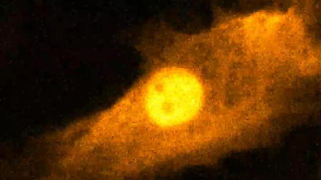 冻结时间：日本科学家以毫秒精度捕获转瞬即逝的生物过程