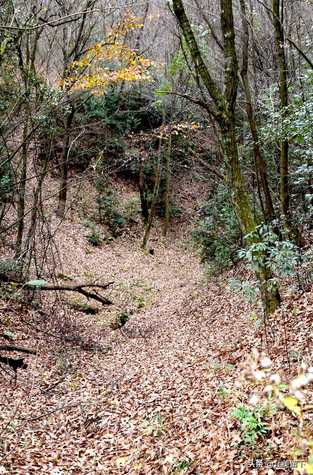 一条路，落叶无迹——贵州冬日风光