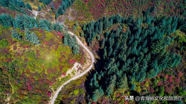 秋风叩黄南，一场与山水私语的秋日浪漫邀约