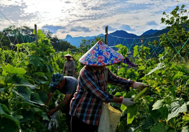 绩溪：文旅场景焕新 助燃“夏日经济”