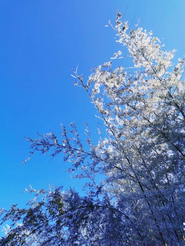 美如仙境！韶关这个地方迎来今年首场冰挂雾凇景观，秋冬来旅行，赏雪泡泉看红枫为你安排好了