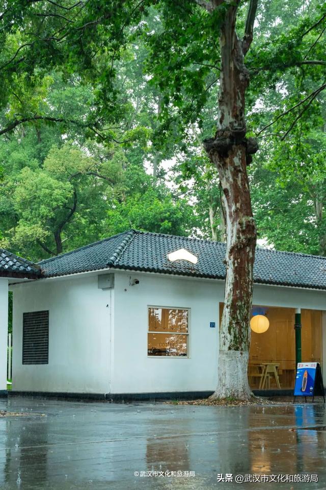 狂降10℃，武汉最凉快的一周，这样玩