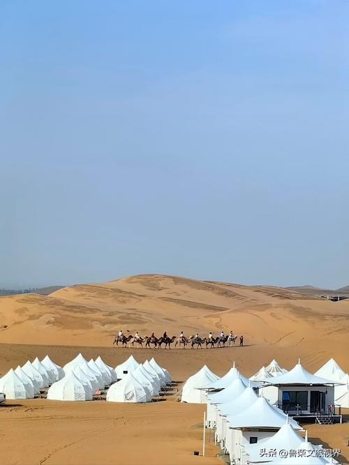 山河藏史诗，丝路续传奇：山西与河西走廊的双重旅行盛宴