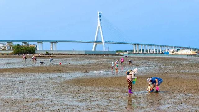 海口新晋“撒野地图”：摸蛏子、追螃蟹、玩泥巴...夏天得这样过