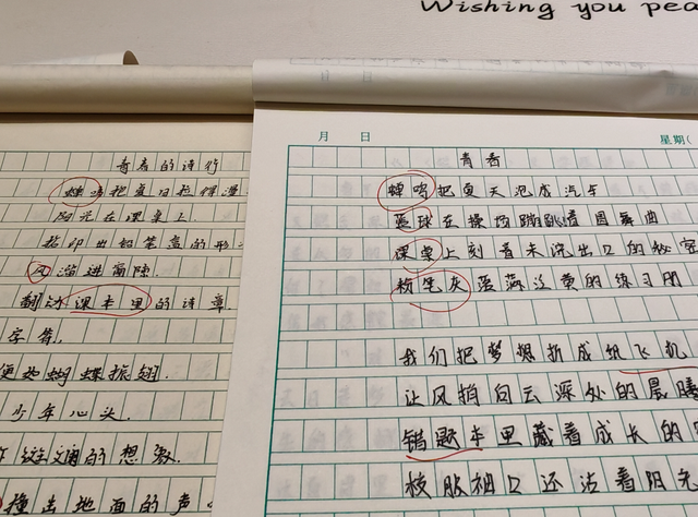 “AI快把中学生搞废了”，老师晒出班上作文：狗屁不通，难以直视