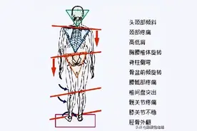 八部金刚功每式的功效，坚持一段时间，定会有奇效！图片