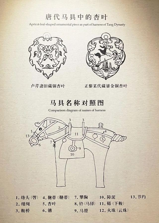 甘肃省博物馆：黄河万里下金城