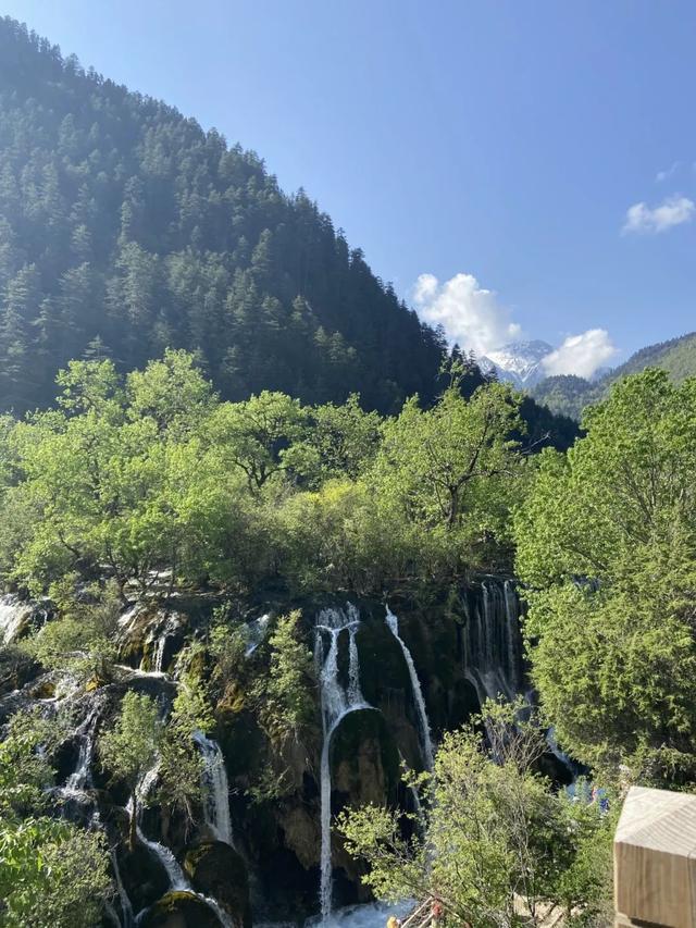 鱼跃天际、鸟翔水底，九寨沟邀你共赏夏日奇景~