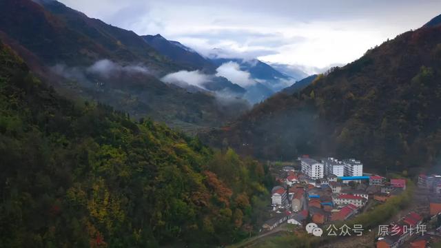 汉滨区叶坪镇：全力打造汉滨“北极”康养旅居、民宿集群特色镇