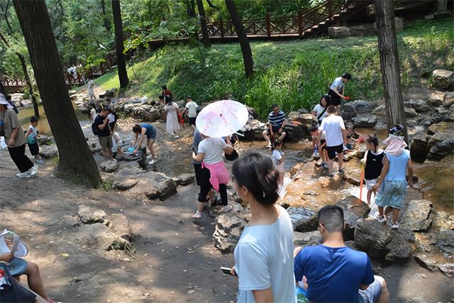 走进蒙山景区，感受夏日清凉...