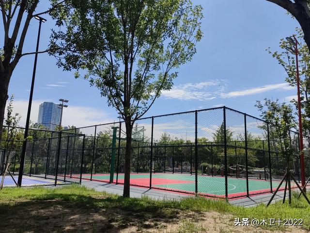 预想中的citywalk被一辆公交车阻断,之后