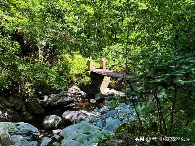 进山纳凉来黑河国家森林公园，让你逃离酷暑，一键降温！