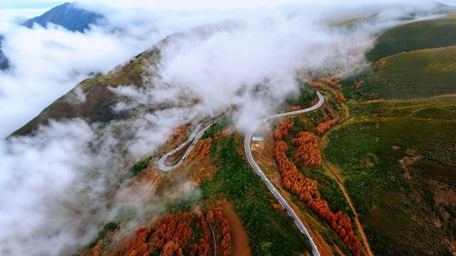 凉山金阳：彩林秘境初冬上线 层林尽染惊艳时光