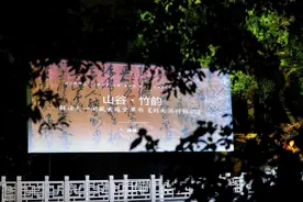 黄庭坚草书魅力何在？陈振濂解读宁波天一阁馆藏珍品图片