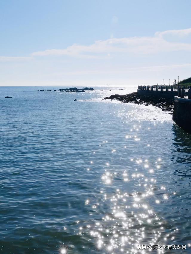 大量日本人游客涌入青岛，打着旅游幌子不去旅游不吃美食，为啥来