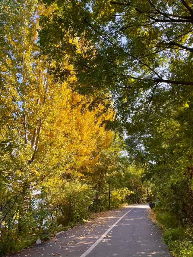 此刻的临沂，把清欢藏进风景里