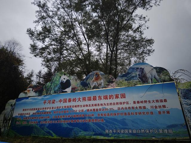 南行漫记：329公里的穿越之路，带你一起看红叶