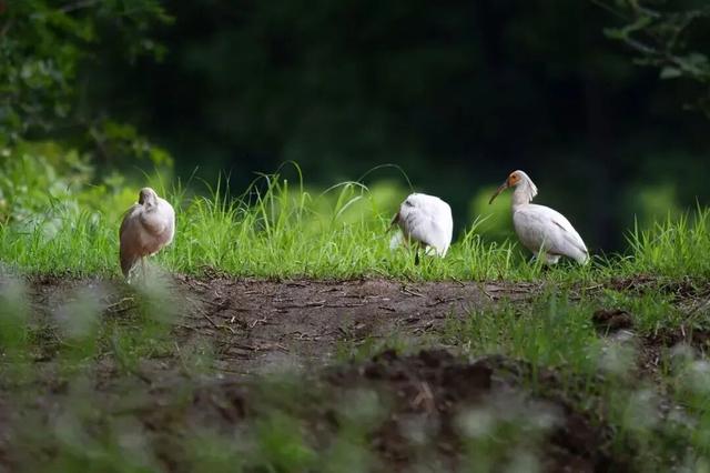 走，总要去一趟石泉~