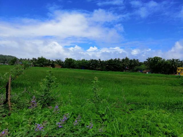 探访南印度果阿，最不像印度的印度城市