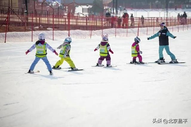 雪上逐乐，棚内摘甜！来昌平崔村，承包你的冬日快乐！