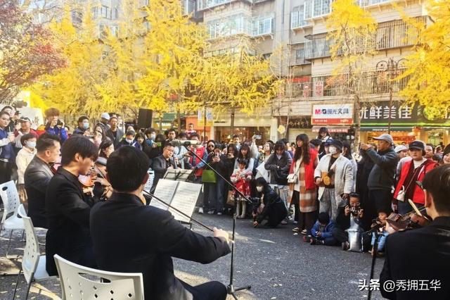 赏杏观鸥季 | 五华区这场银杏树下的城市音乐会快闪，太浪漫了