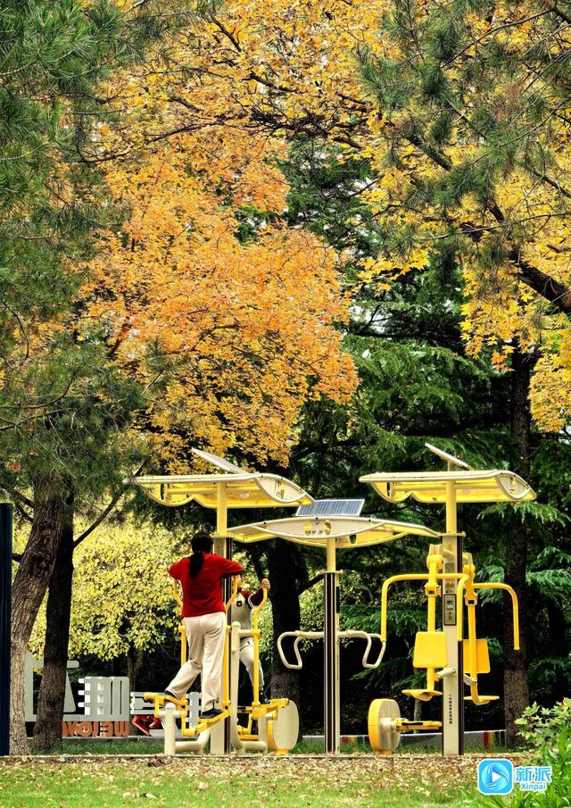 浞景无边，快乐亦无边~