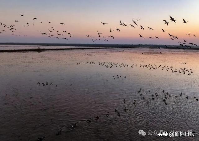 @仙桃人，这回大家真的要关注呀！