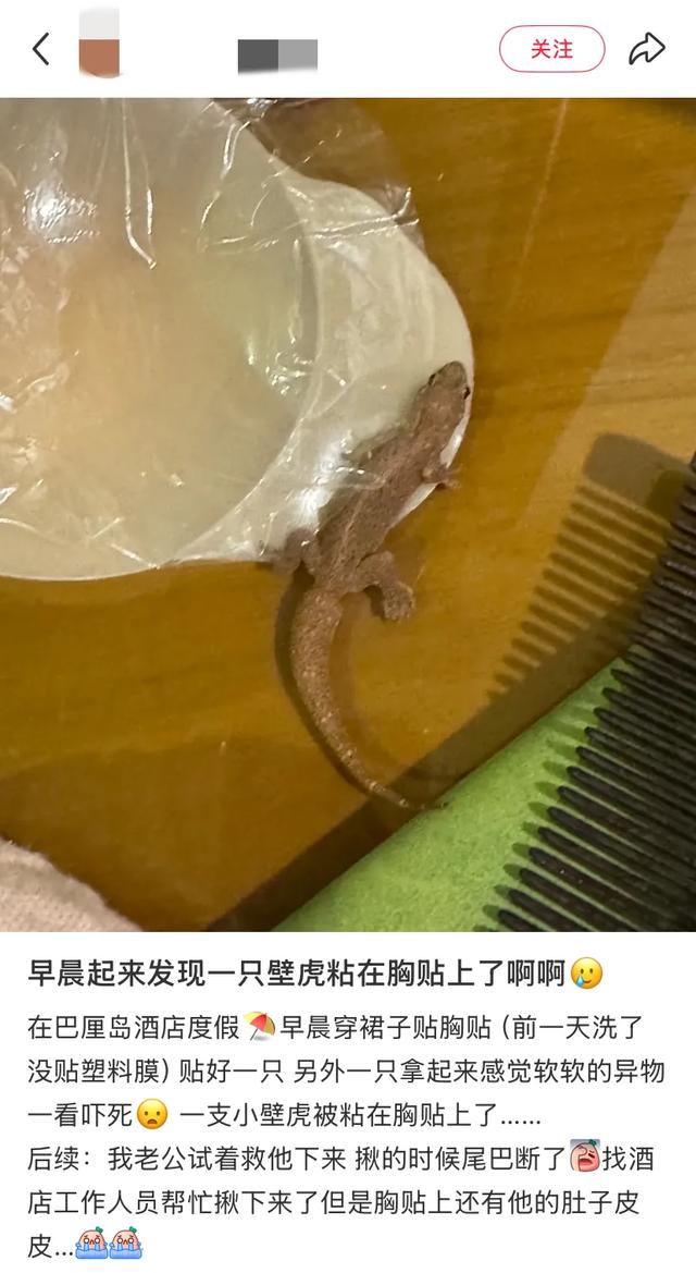 阻止我去巴厘岛旅游的唯一理由: