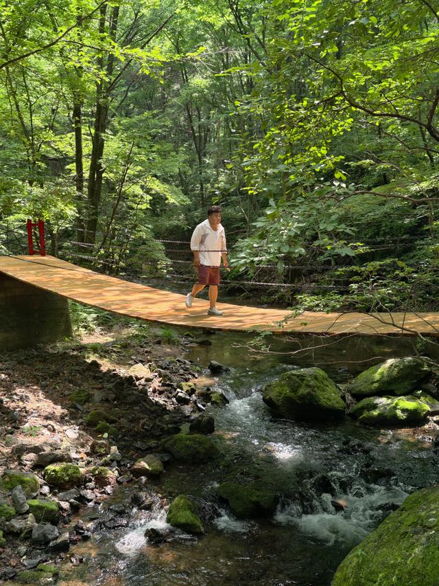 龙湾群火山口湖寻奇：在吊水壶与西夹荒邂逅地质与人文的诗篇