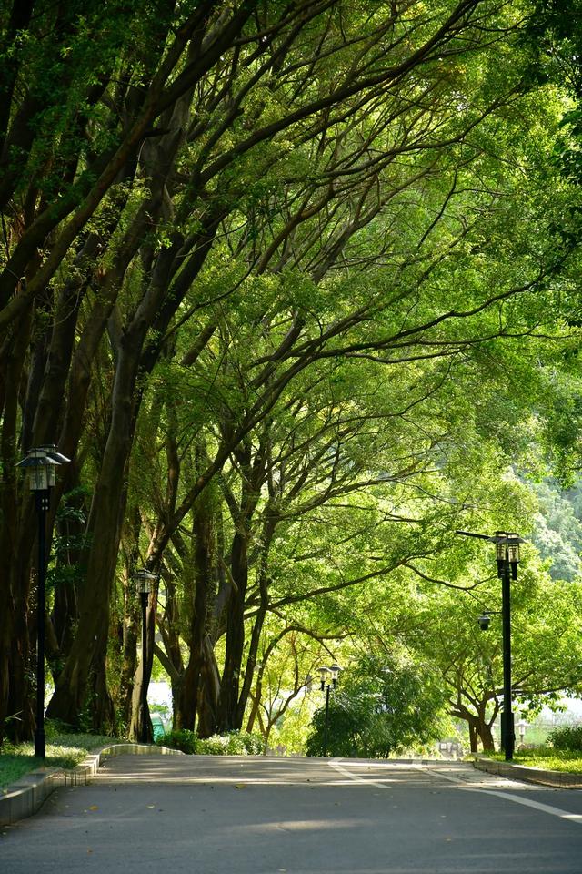 跟着十五运游深圳 | 从热血赛场，一脚踏进千年古城的光阴副本~