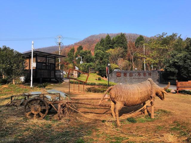 南京又一公园火了！高空栈道+枫林小径，被誉为南京秋景天花板