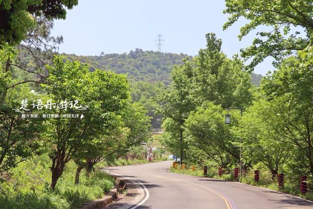 宁波这两座水库相距仅千米，之间藏着多条绿道和茶咖空间，都很美