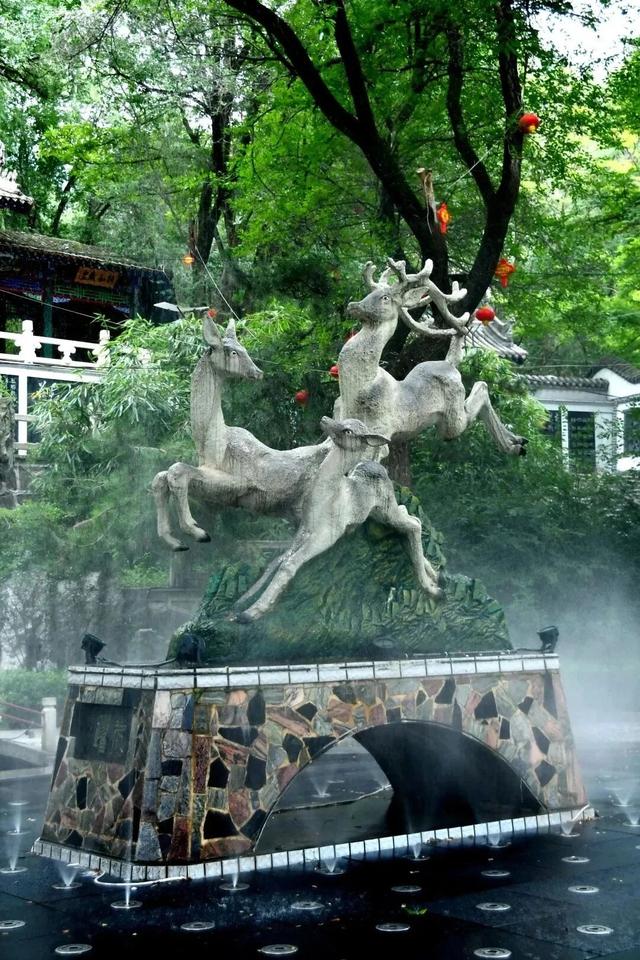 秋日临洮漫游记：20分钟邂逅公园的诗意