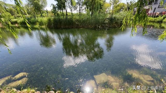 漫步河畔•贤美生活