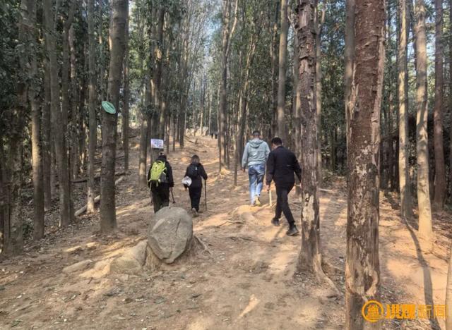 梅岭徒步，总有一条路线适合你！