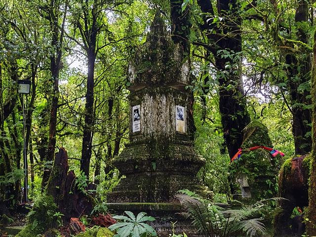 泰国旅游：清迈因他农山一日行散记（图）