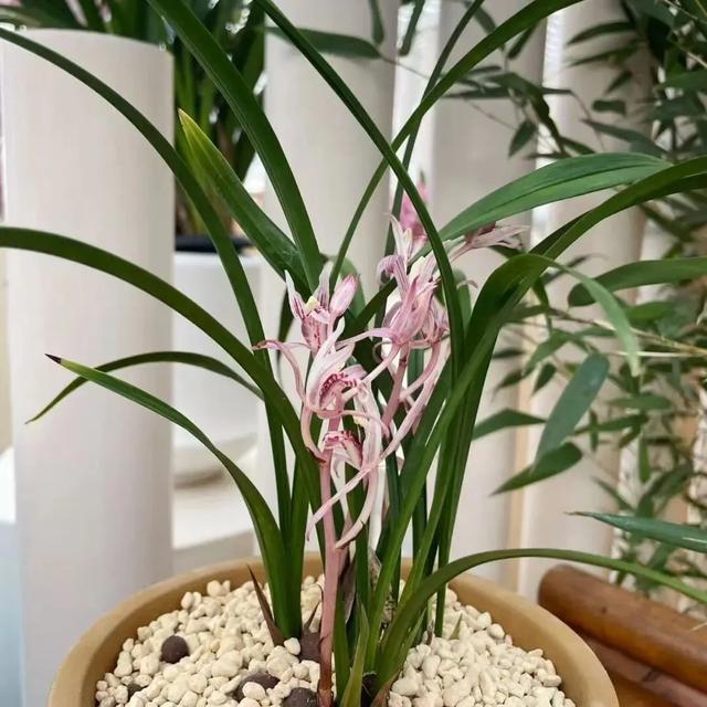 出门冻手冻耳朵！丰台室内去哪儿最温暖，戳——